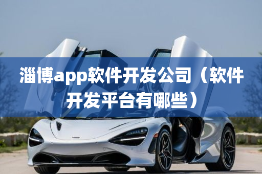 淄博app软件开发公司（软件开发平台有哪些）