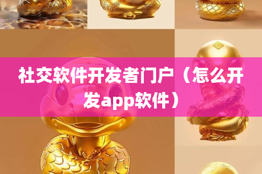 社交软件开发者门户（怎么开发app软件）