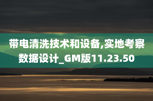 带电清洗技术和设备,实地考察数据设计_GM版11.23.50