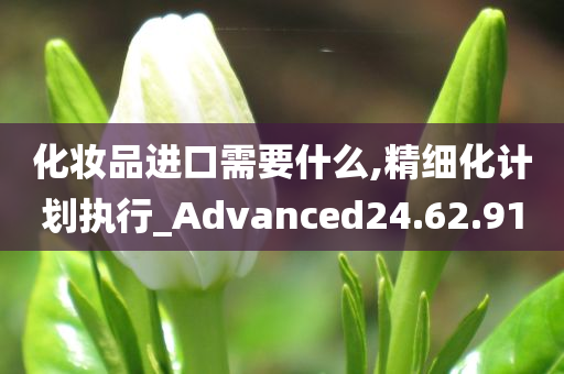 化妆品进口需要什么,精细化计划执行_Advanced24.62.91