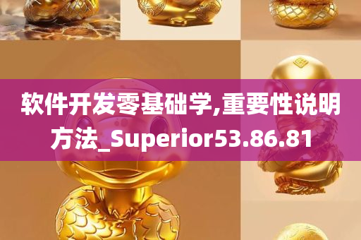 软件开发零基础学,重要性说明方法_Superior53.86.81