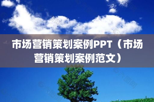 市场营销策划案例PPT（市场营销策划案例范文）