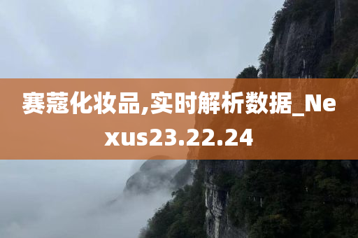 赛蔻化妆品,实时解析数据_Nexus23.22.24