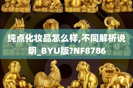 纯点化妆品怎么样,不同解析说明_BYU版?NF8786