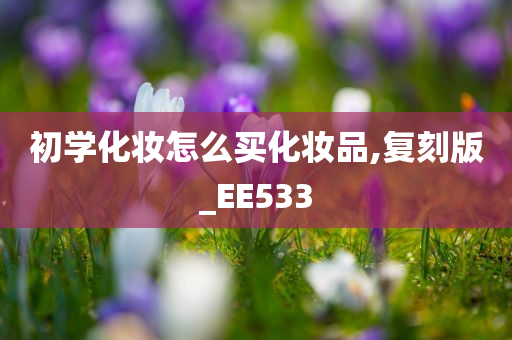 初学化妆怎么买化妆品,复刻版_EE533