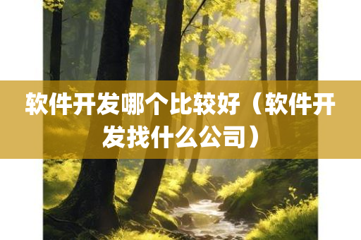 软件开发哪个比较好（软件开发找什么公司）