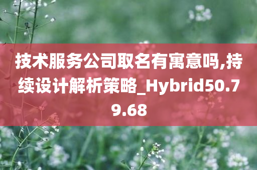 技术服务公司取名有寓意吗,持续设计解析策略_Hybrid50.79.68