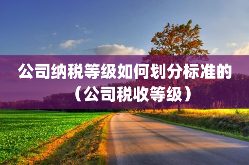 公司纳税等级如何划分标准的（公司税收等级）