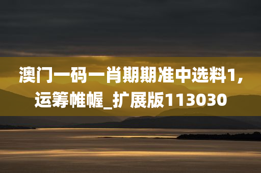 澳门一码一肖期期准中选料1,运筹帷幄_扩展版113030