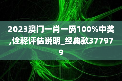 2023澳门一肖一码100%中奖,诠释评估说明_经典款377979