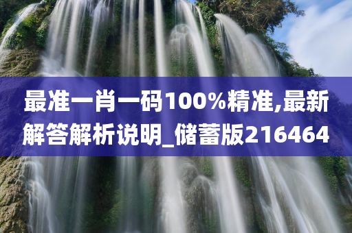 最准一肖一码100%精准,最新解答解析说明_储蓄版216464