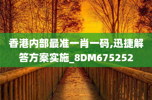 香港内部最准一肖一码,迅捷解答方案实施_8DM675252