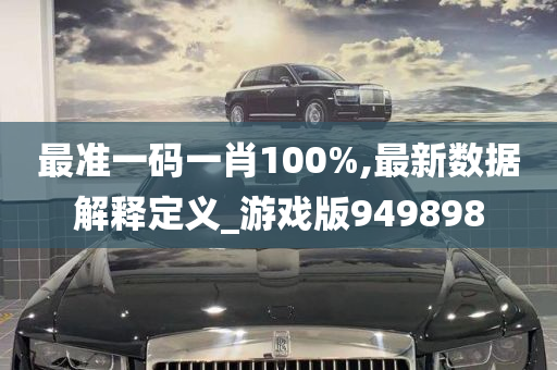 最准一码一肖100%,最新数据解释定义_游戏版949898