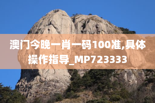 澳门今晚一肖一码100准,具体操作指导_MP723333