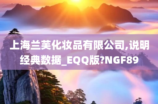 上海兰芙化妆品有限公司,说明经典数据_EQQ版?NGF89