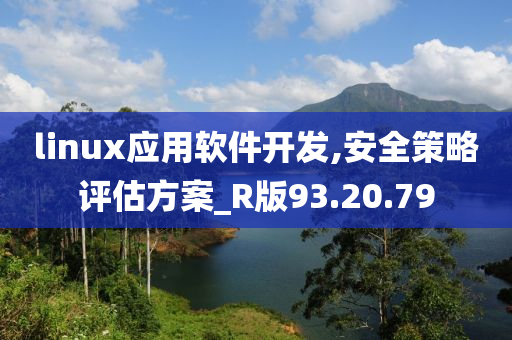 linux应用软件开发,安全策略评估方案_R版93.20.79