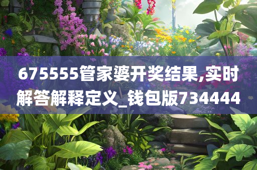 675555管家婆开奖结果,实时解答解释定义_钱包版734444