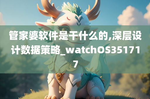 管家婆软件是干什么的,深层设计数据策略_watchOS351717