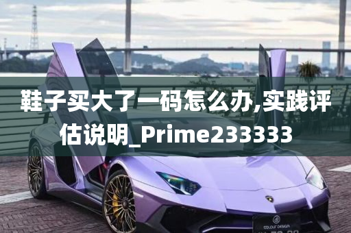 鞋子买大了一码怎么办,实践评估说明_Prime233333