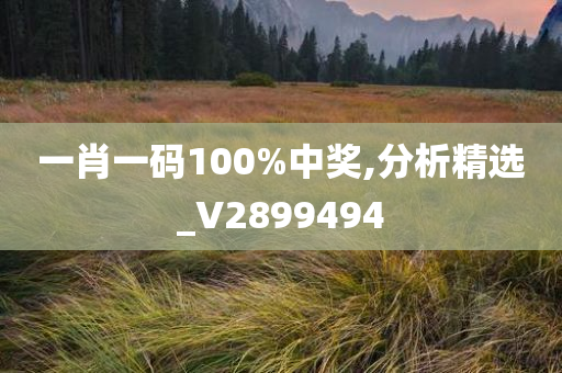 一肖一码100%中奖,分析精选_V2899494