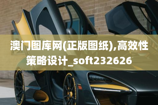 澳门图库网(正版图纸),高效性策略设计_soft232626