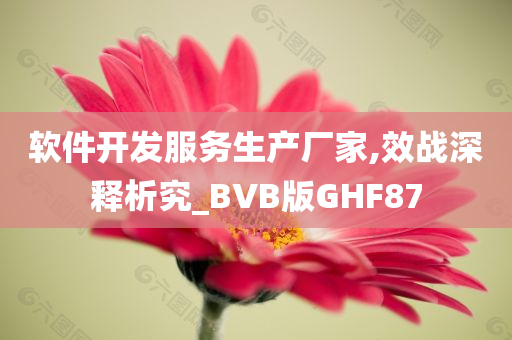 软件开发服务生产厂家,效战深释析究_BVB版GHF87