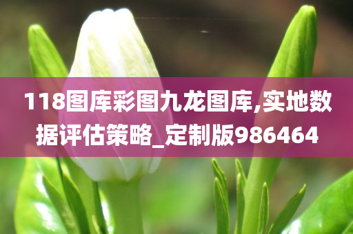 118图库彩图九龙图库,实地数据评估策略_定制版986464