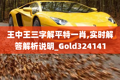 王中王三字解平特一肖,实时解答解析说明_Gold324141