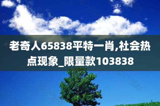 老奇人65838平特一肖,社会热点现象_限量款103838