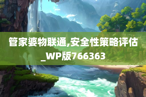 管家婆物联通,安全性策略评估_WP版766363