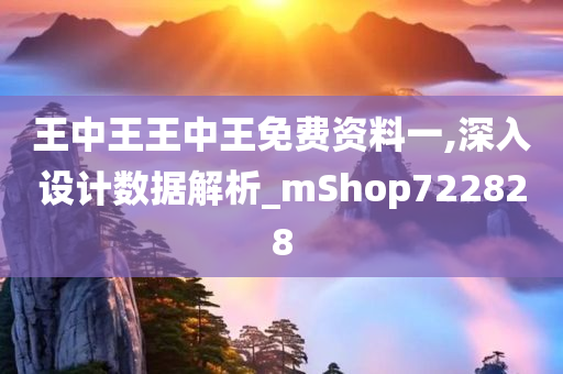 王中王王中王免费资料一,深入设计数据解析_mShop722828