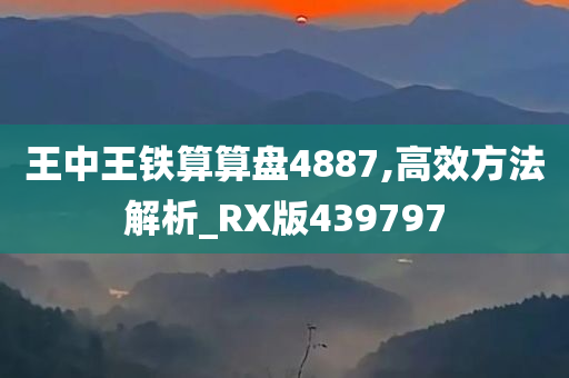 王中王铁算算盘4887,高效方法解析_RX版439797