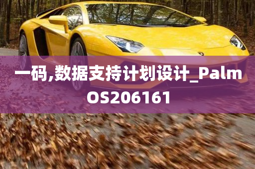 一码,数据支持计划设计_PalmOS206161