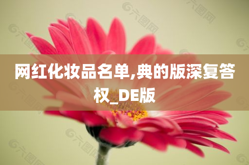 网红化妆品名单,典的版深复答权_DE版