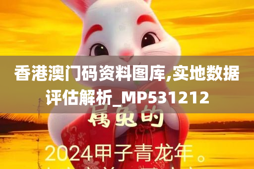 香港澳门码资料图库,实地数据评估解析_MP531212