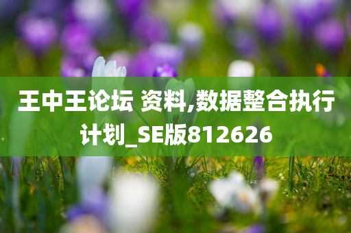 王中王论坛 资料,数据整合执行计划_SE版812626