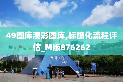 49图库澳彩图库,标确化流程评估_M版876262