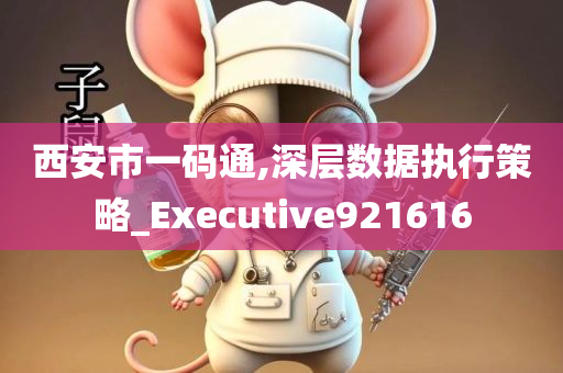 西安市一码通,深层数据执行策略_Executive921616