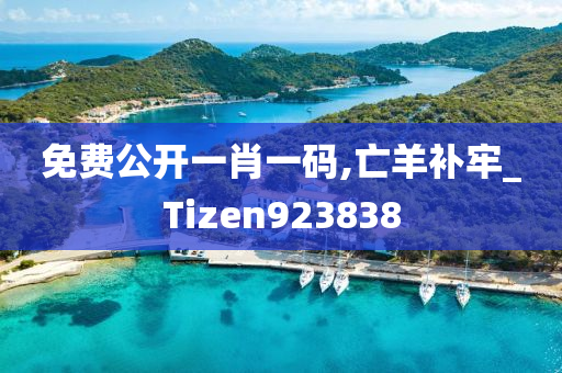 免费公开一肖一码,亡羊补牢_Tizen923838