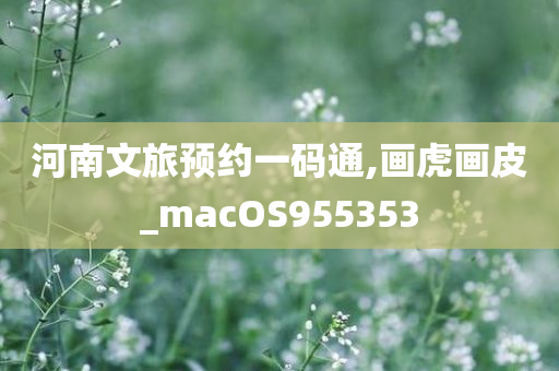 河南文旅预约一码通,画虎画皮_macOS955353