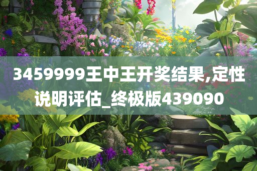 3459999王中王开奖结果,定性说明评估_终极版439090