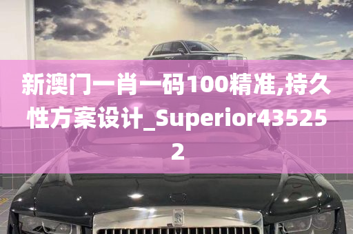 新澳门一肖一码100精准,持久性方案设计_Superior435252