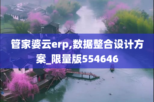 管家婆云erp,数据整合设计方案_限量版554646