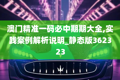 澳门精准一码必中期期大全,实践案例解析说明_静态版362323