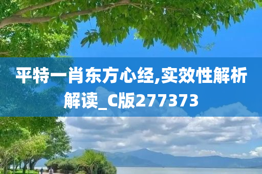 平特一肖东方心经,实效性解析解读_C版277373