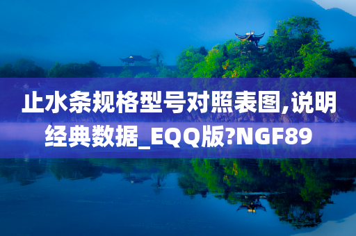 止水条规格型号对照表图,说明经典数据_EQQ版?NGF89