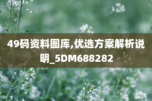 49码资料图库,优选方案解析说明_5DM688282