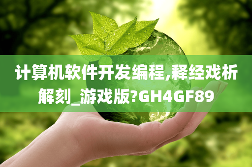 计算机软件开发编程,释经戏析解刻_游戏版?GH4GF89