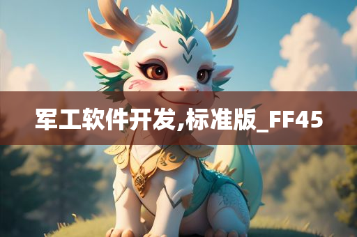 军工软件开发,标准版_FF45