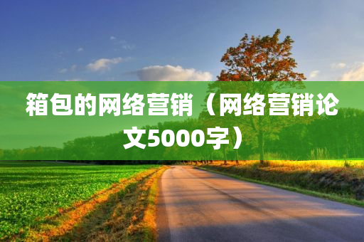 箱包的网络营销（网络营销论文5000字）